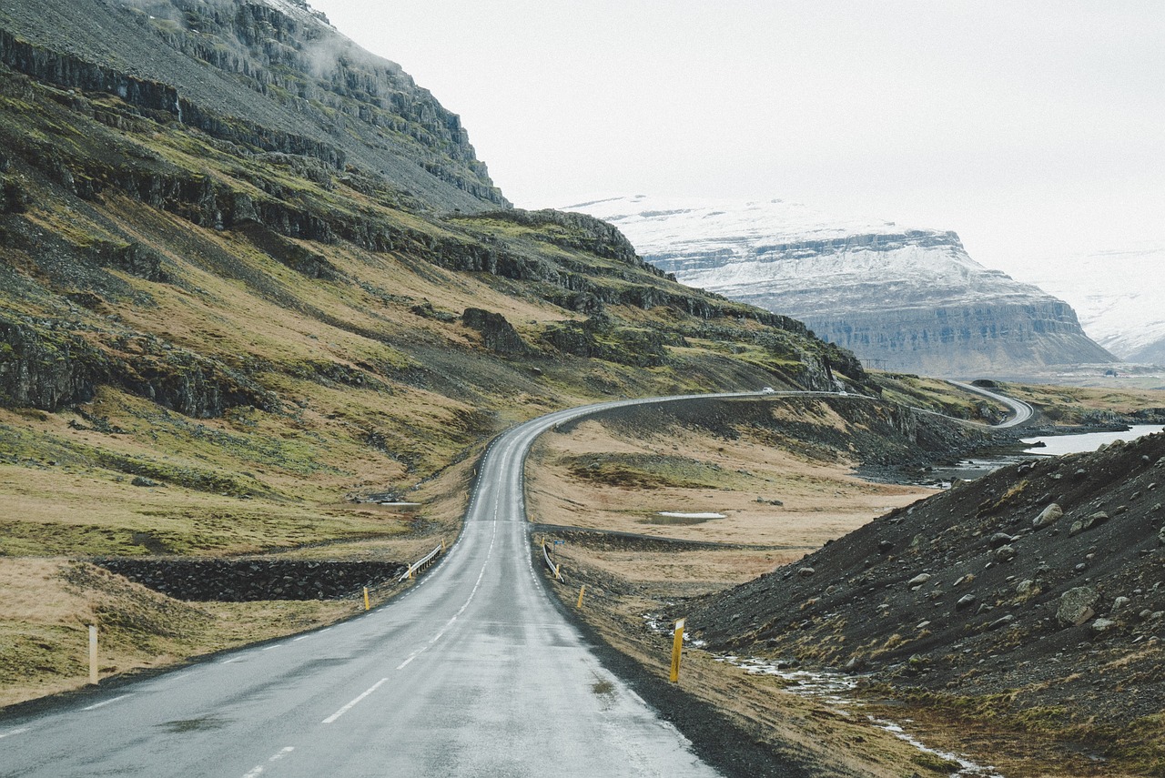 Tips for a Stress-Free Road Trip with Your Pet